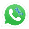 1710739408_WAPWhatsApp.png